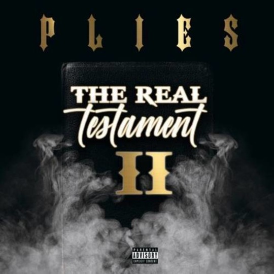 plies the real testament download